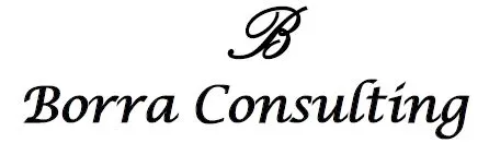Borra Consulting logo